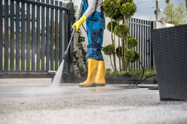 Best Local Pressure Washing Services  in Edinburg, TX